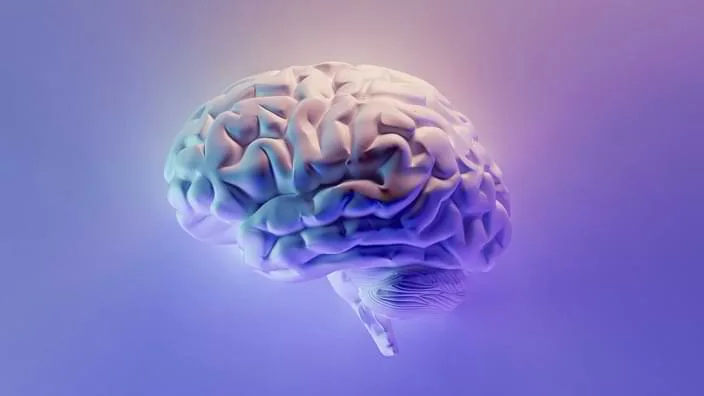 世界杯直播网为您提供专业、贴心的服务体验。 - 世界杯直播网